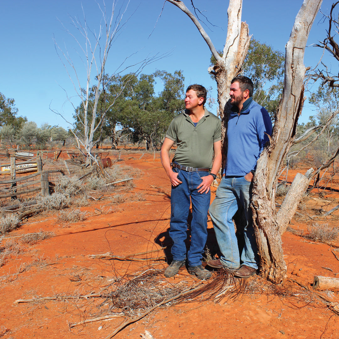 This is why you should be wearing wool in the heat!