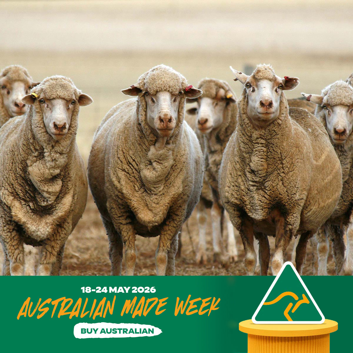 Australian Made Week 2026: Why Choosing Australian Merino Matters More Than Ever