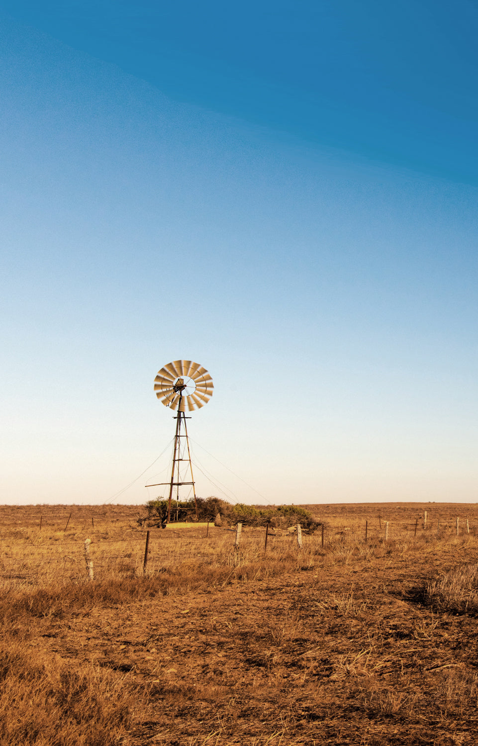 Merino Country from the heart of Australia