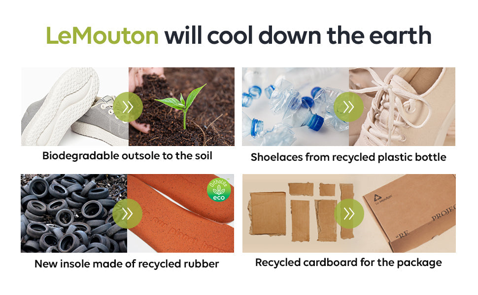 Merino Shoe Information