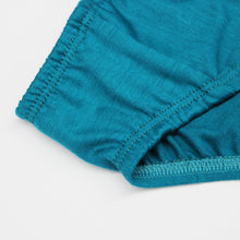 Load image into Gallery viewer, Merino Hit Cut Panel Brief Teal
