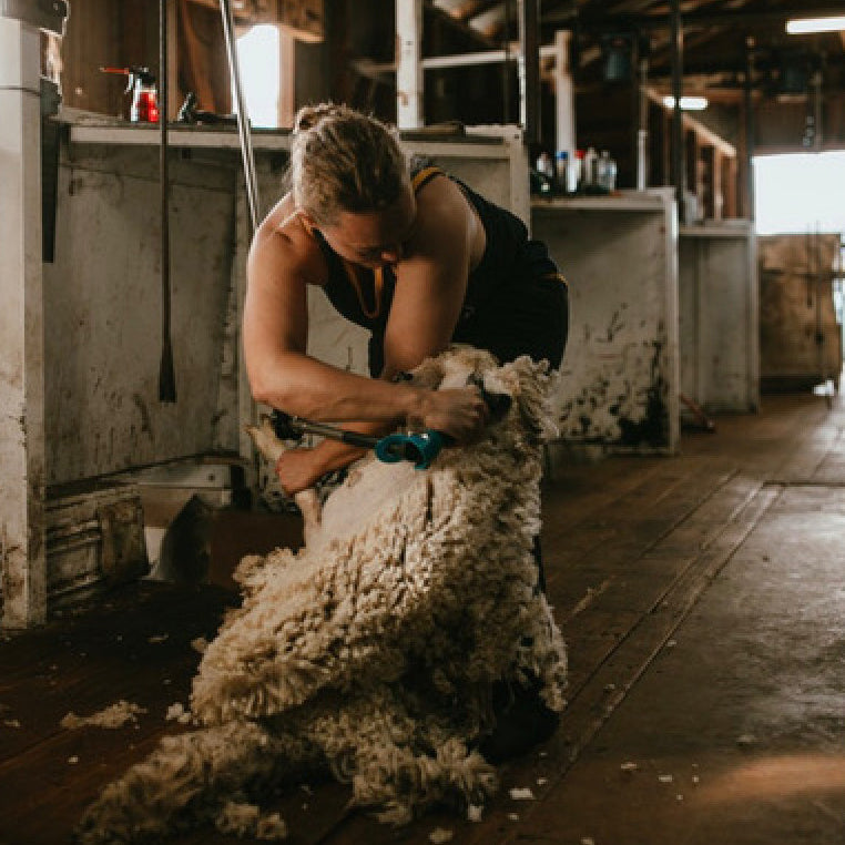 Celebrating Rural Women - Carol Mudford