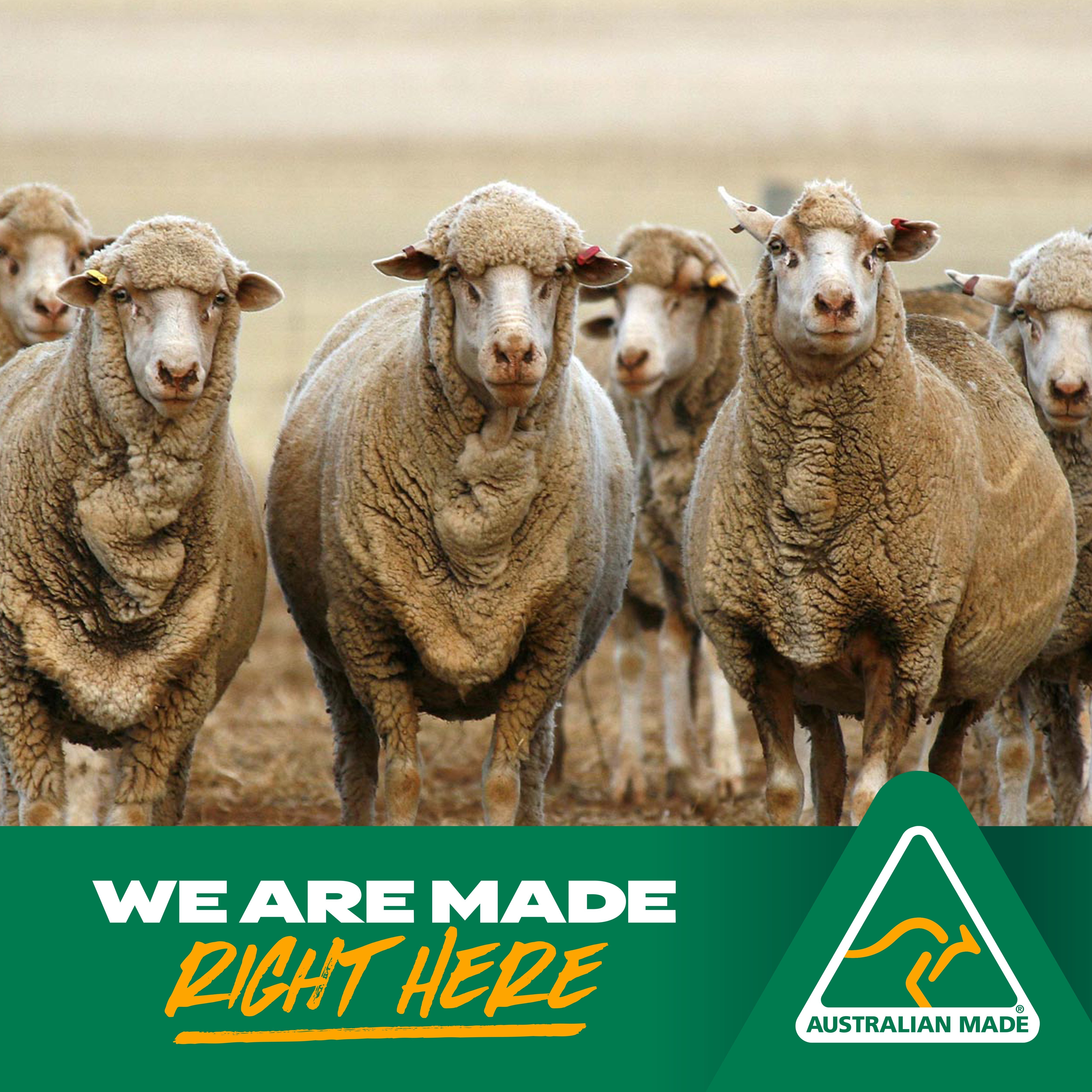 Why Choosing Australian Merino Matters More Than Ever