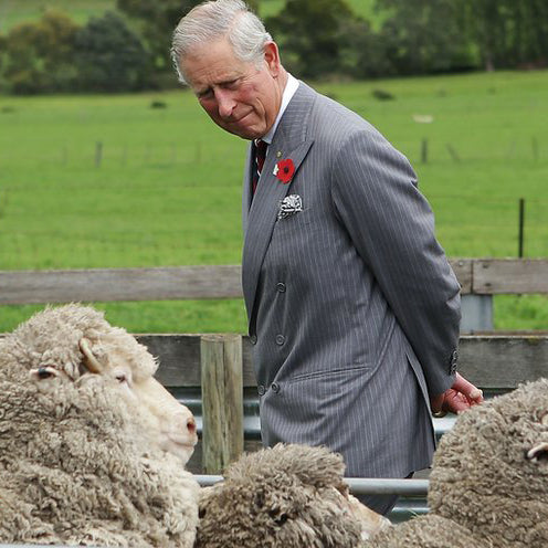 King Charles III to continue as The Campaign for Wool patron