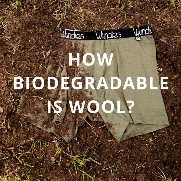 How Biodegradable is Wool?