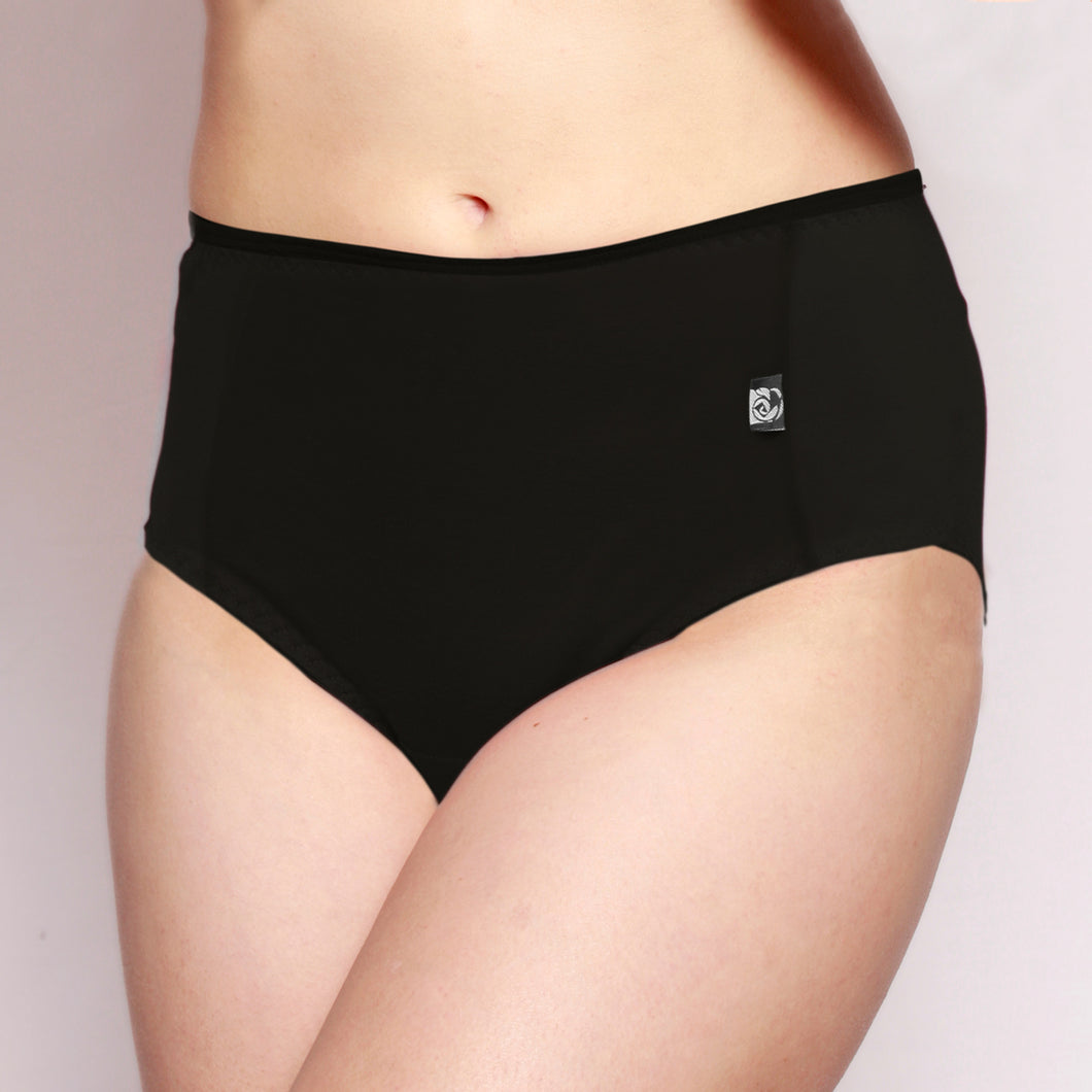 Merino Panel Full Brief Black